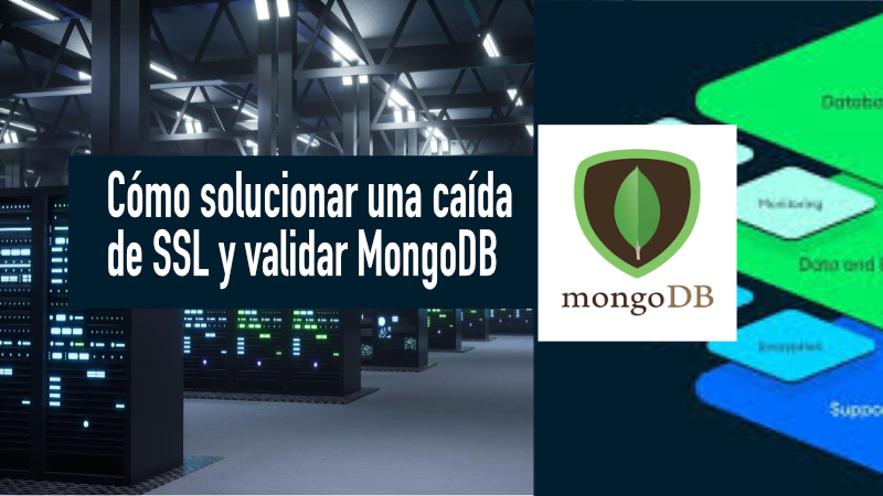 ssh gratis con certbot