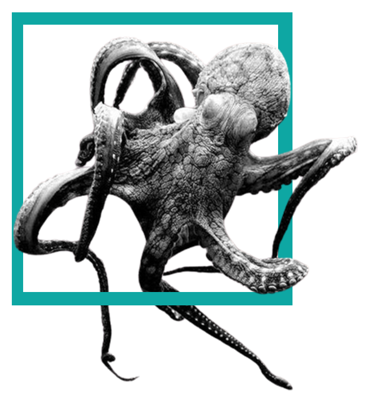 logo image